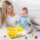 Jouet BabyEggs™ Montessori pour l'apprentissage des formes et des couleurs, favorisant la coordination œil-main et la motricité fine. Conçu en plastique alimentaire sans BPA pour les enfants de plus de 9 mois.